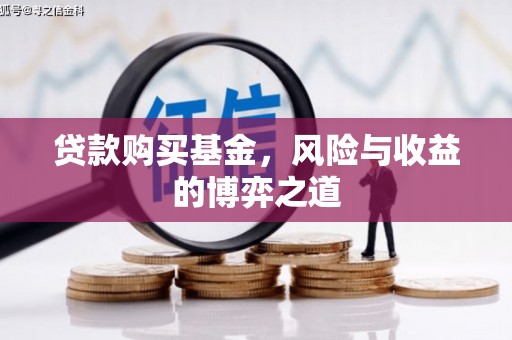 新乐贷款购买基金，风险与收益的博弈之道