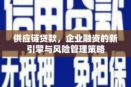 新乐供应链贷款，企业融资的新引擎与风险管理策略