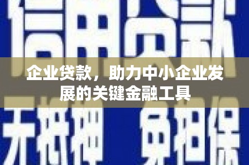 新乐企业贷款，助力中小企业发展的关键金融工具
