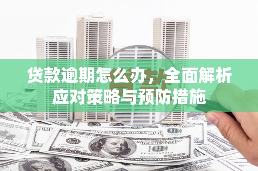 新乐贷款逾期怎么办，全面解析应对策略与预防措施