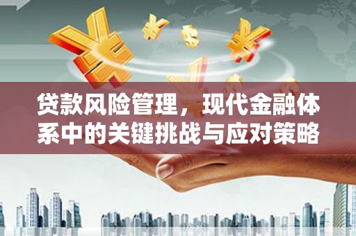 新乐贷款风险管理，现代金融体系中的关键挑战与应对策略