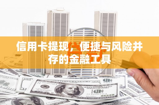 新乐信用卡提现，便捷与风险并存的金融工具