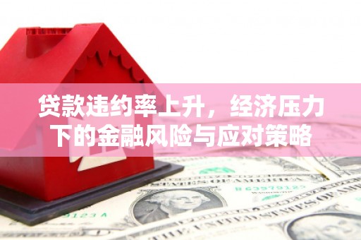 新乐贷款违约率上升，经济压力下的金融风险与应对策略