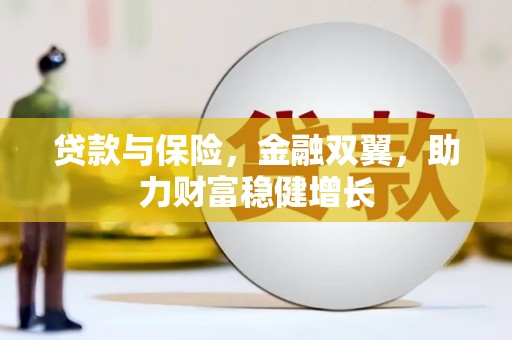 新乐贷款与保险，金融双翼，助力财富稳健增长