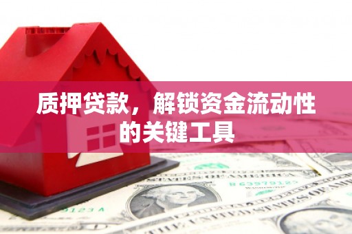 新乐质押贷款，解锁资金流动性的关键工具