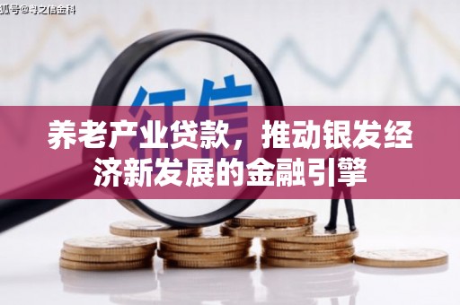新乐养老产业贷款，推动银发经济新发展的金融引擎