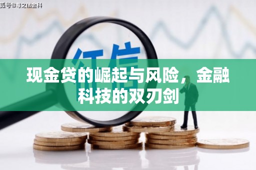 新乐现金贷的崛起与风险，金融科技的双刃剑