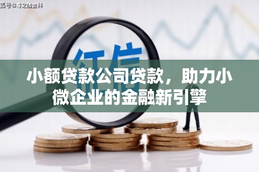 新乐小额贷款公司贷款，助力小微企业的金融新引擎
