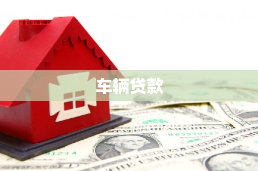 新乐车辆贷款