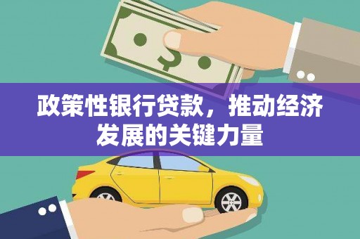 新乐政策性银行贷款，推动经济发展的关键力量