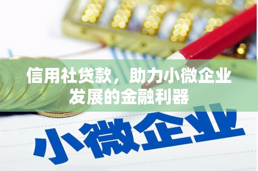 新乐信用社贷款，助力小微企业发展的金融利器