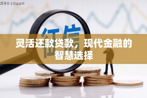 新乐灵活还款贷款，现代金融的智慧选择