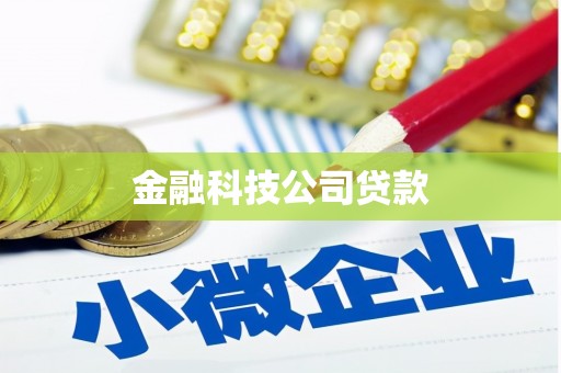 新乐金融科技公司贷款