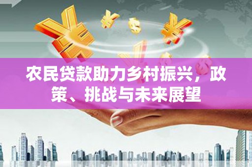新乐农民贷款助力乡村振兴，政策、挑战与未来展望