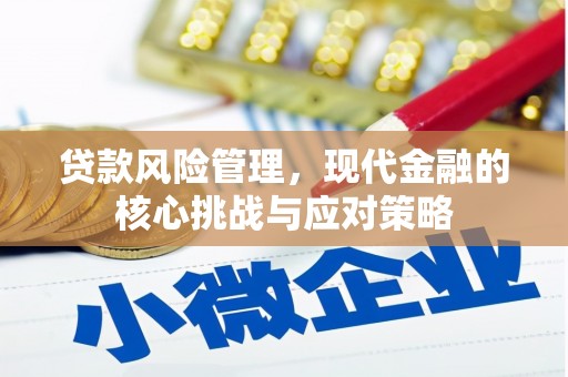 新乐贷款风险管理，现代金融的核心挑战与应对策略