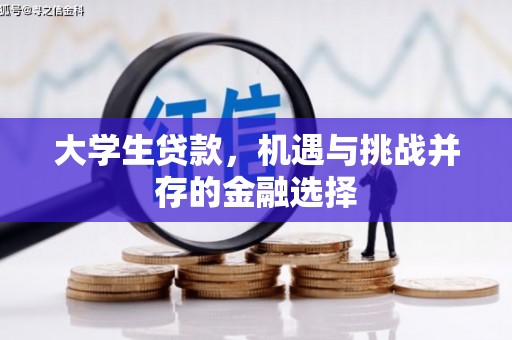 新乐大学生贷款，机遇与挑战并存的金融选择