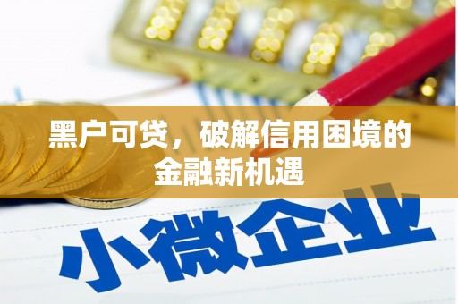 新乐黑户可贷，破解信用困境的金融新机遇