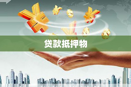 新乐贷款抵押物