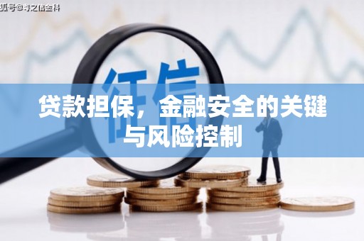 新乐贷款担保，金融安全的关键与风险控制