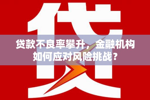 新乐贷款不良率攀升，金融机构如何应对风险挑战？