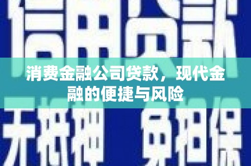 新乐消费金融公司贷款，现代金融的便捷与风险