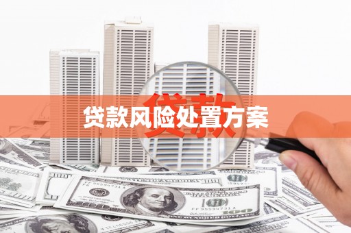 新乐贷款风险处置方案