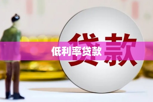 新乐低利率贷款