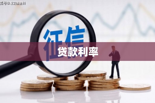 新乐贷款利率