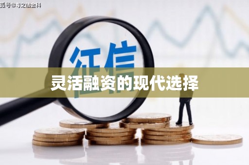 新乐灵活融资的现代选择