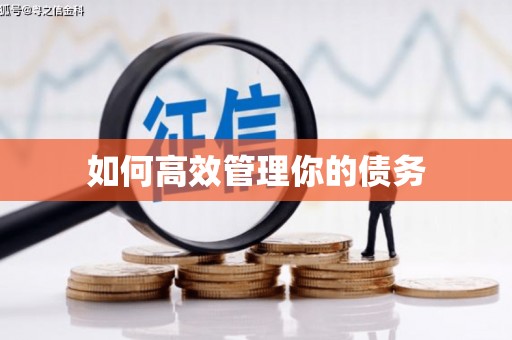 新乐如何高效管理你的债务