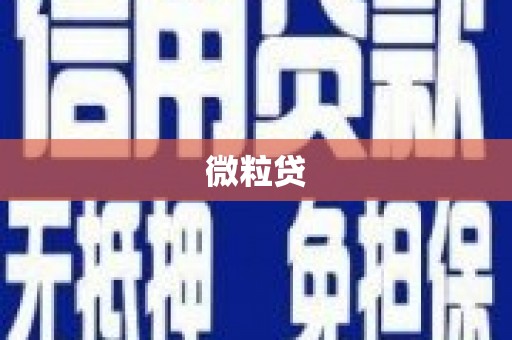 新乐微粒贷