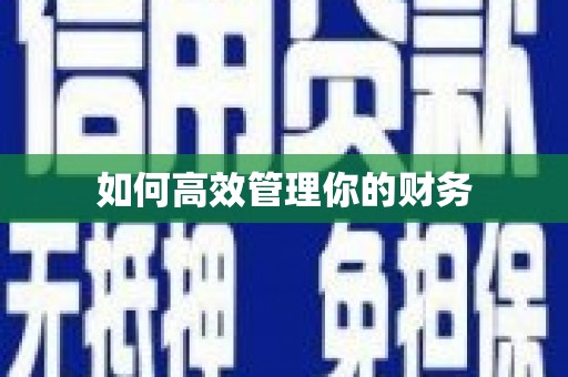 新乐如何高效管理你的财务