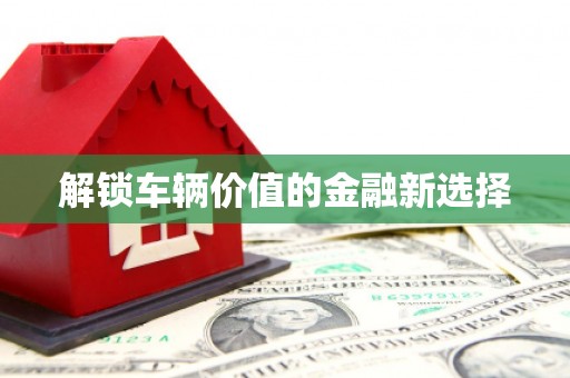新乐解锁车辆价值的金融新选择