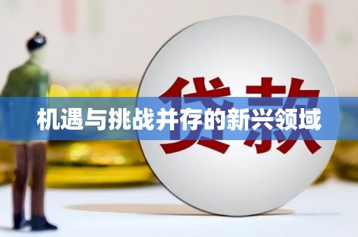 新乐机遇与挑战并存的新兴领域