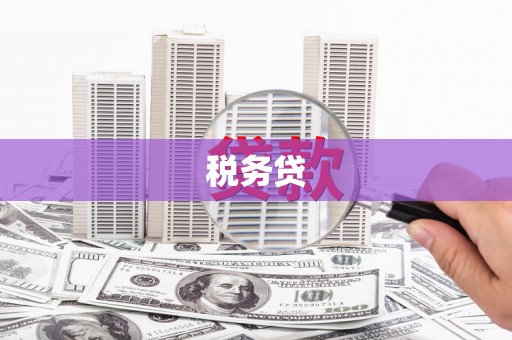 新乐税务贷