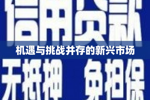 新乐机遇与挑战并存的新兴市场