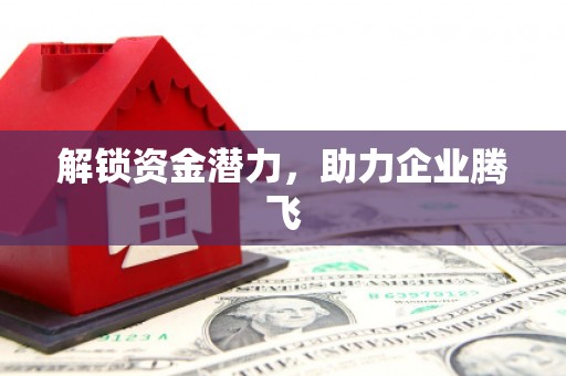 新乐解锁资金潜力，助力企业腾飞