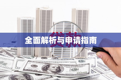 新乐全面解析与申请指南