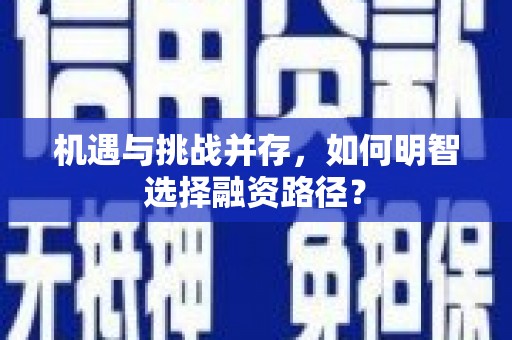 新乐机遇与挑战并存，如何明智选择融资路径？