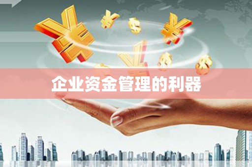 新乐企业资金管理的利器