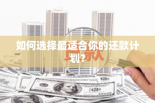 新乐如何选择最适合你的还款计划？