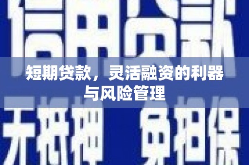 新乐短期贷款，灵活融资的利器与风险管理